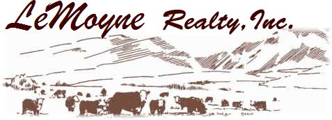 LeMoyne Realty, Inc.